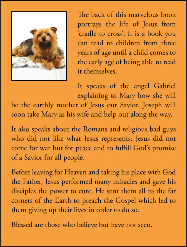 The Jesus Book - Image 2